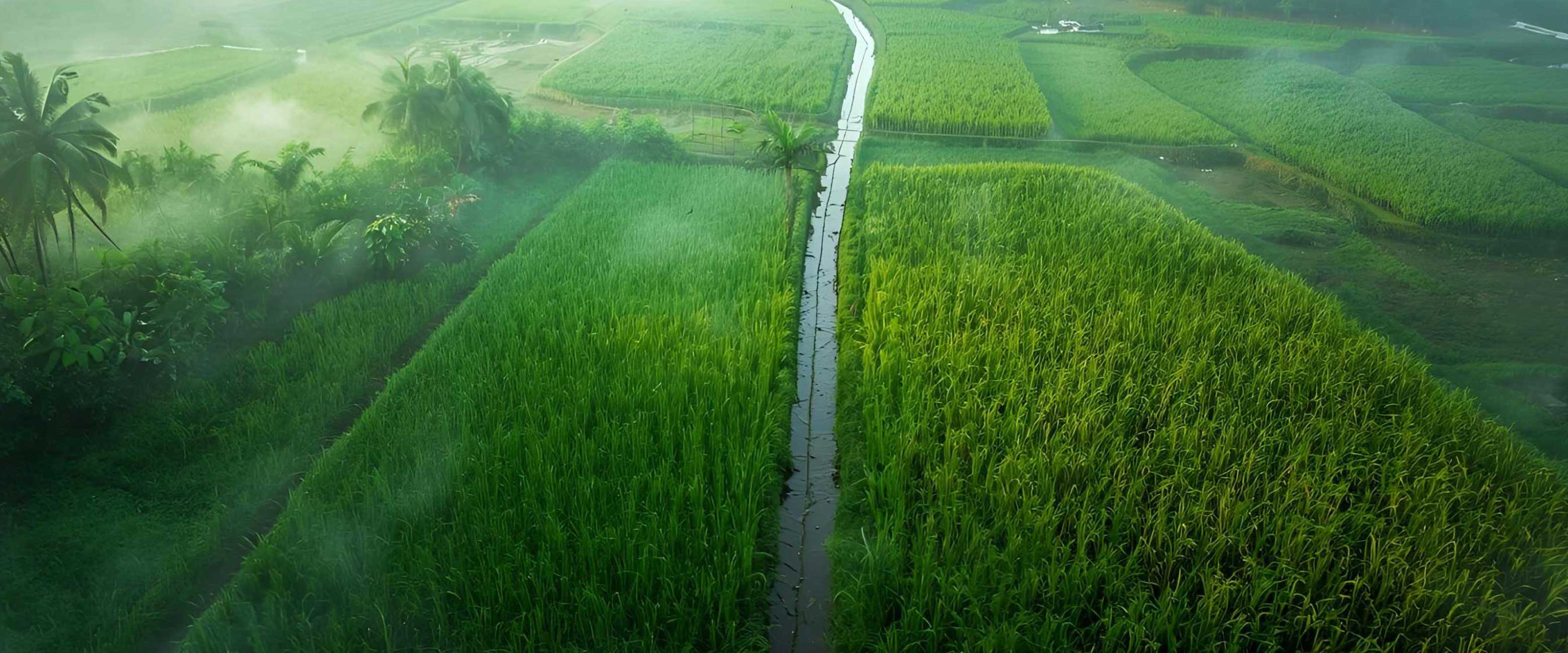 Powering farms and irrigation with reliable water flow.